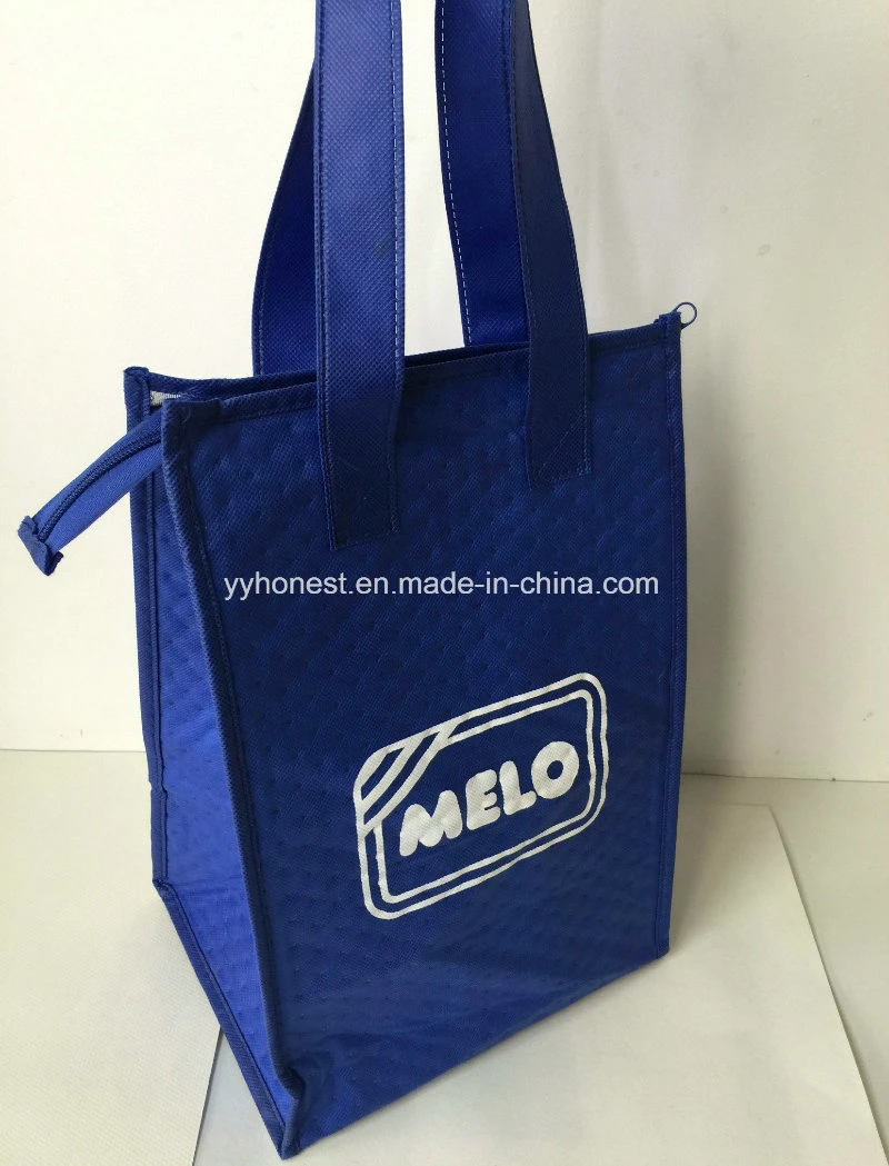 Promotion Insulated Food Delivery Lunch Bag Picnic Cooler Bag