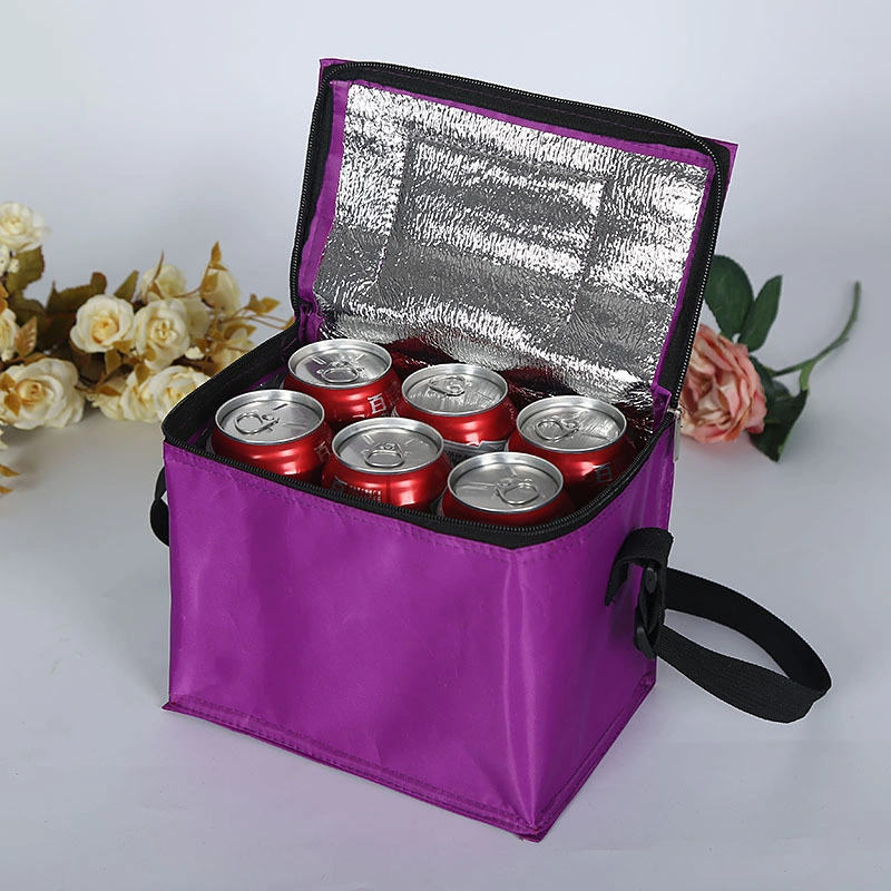 Custom 6 Pack Non Woven Insulated Thermal Lunch Cooler Bag Wholesale China Manufacture