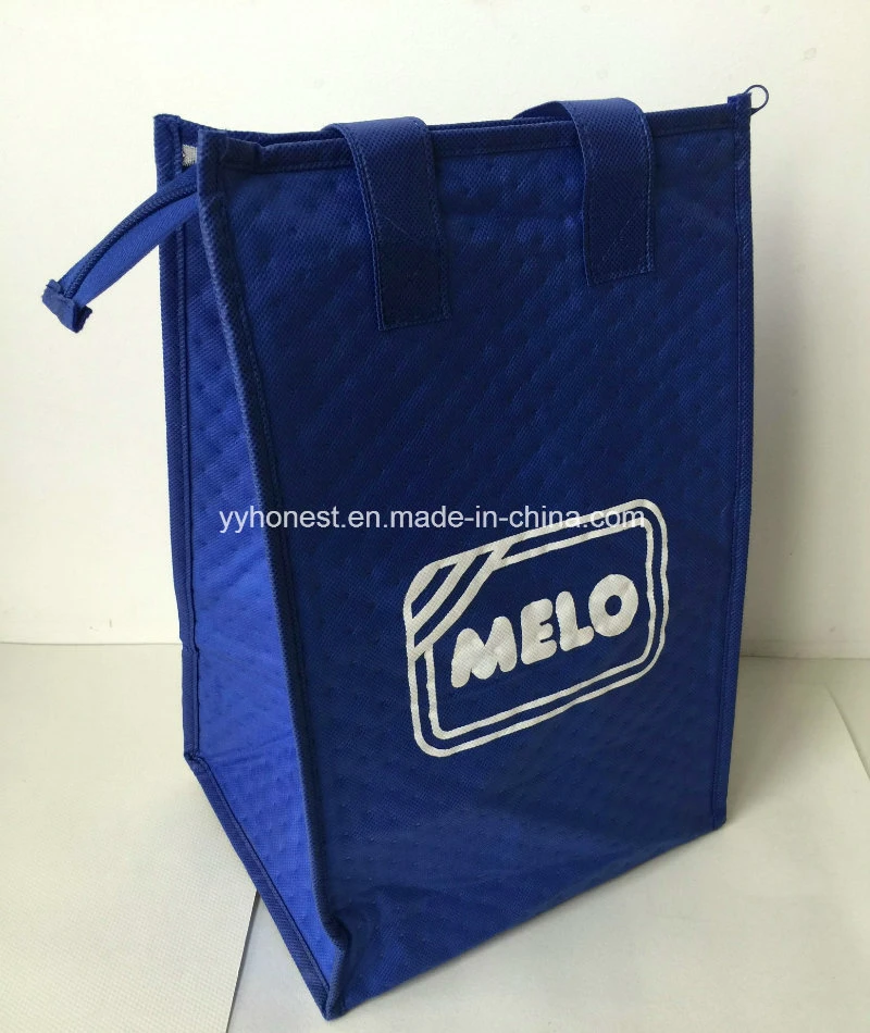 Promotion Insulated Food Delivery Lunch Bag Picnic Cooler Bag